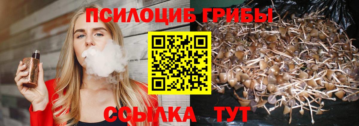 Псилоцибиновые грибы Cubensis Чистополь