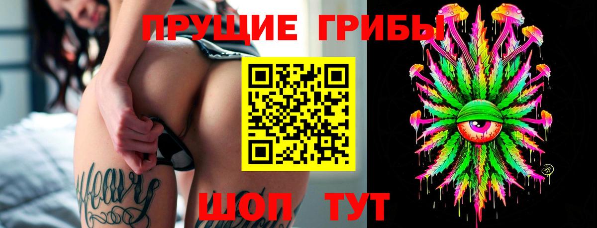 наркотики  Вход с VPN  Чистополь  Галлюциногенные грибы GOLDEN TEACHER 